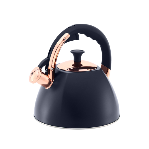 Fast Water Boil Small Portable Teapot Kettle Stove Top Kettle Stainless Steel Whistling Kettle With Nylon Handle