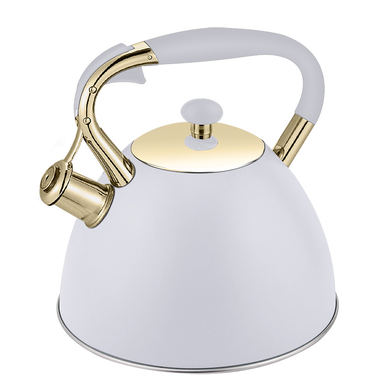 Hausroland Whistle Tea 3.0L Teapot Customized Color Stainless Steel Hot Large Water Kettle for All Stovetop