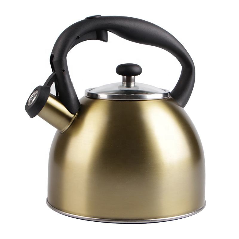 New Design 3L Color Coating Stainless Steel Stove Top Whistle Kettle Whistling Tea Pot with Glass Lid