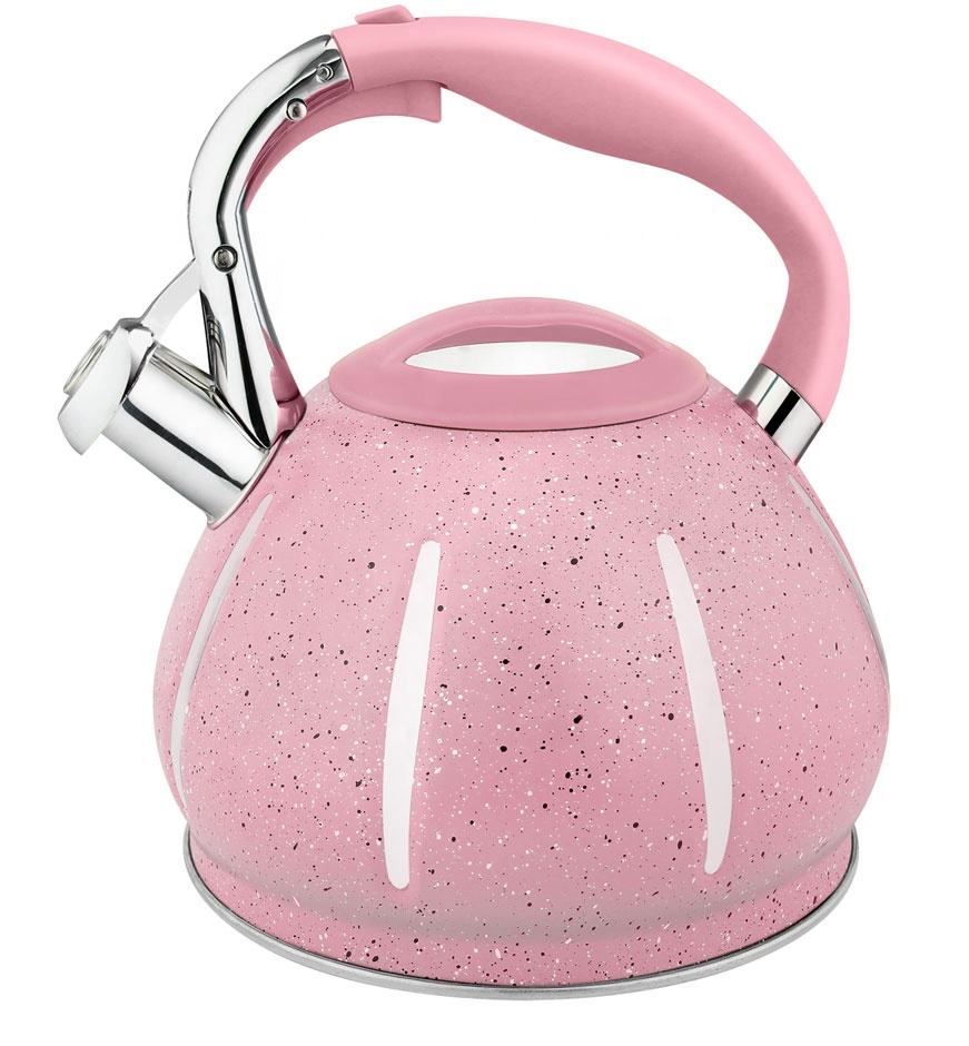 Heat Retention Stainless Steel Whistling Tea Kettle for gas
