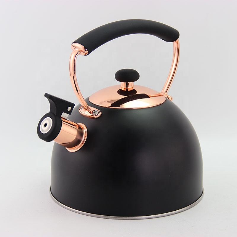 Home Heating Tea Kettle Hot Stainless Steel Whistling Kettles with Nylon Handle