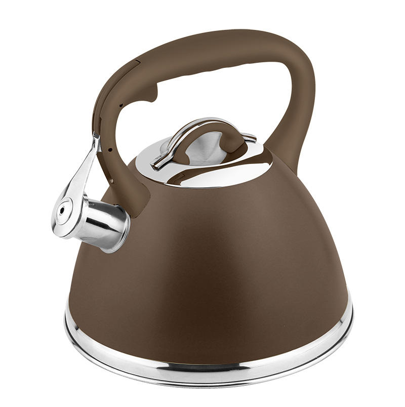 Hot Sale Stainless Steel Whistling Kettle Gas Metal Tea Pot Kitchen Induction Water Kettles