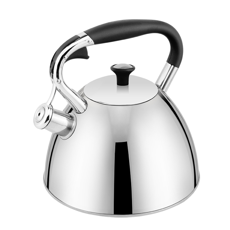Hausroland Whistle Tea 3.0L Teapot Customized Color Stainless Steel Hot Large Water Kettle for All Stovetop