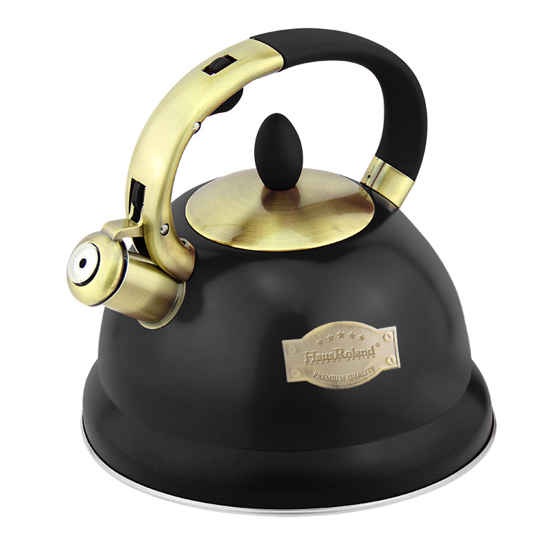 Goldensea Stainless Steel Whistling Water Tea Kettle Stovetop Teapot for Kitchen