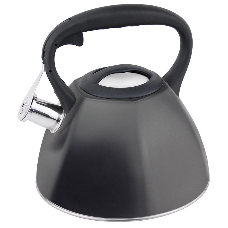 Luxury Design Whistling Tea Kettle Stainless Steel Teapot and Stove Kettle
