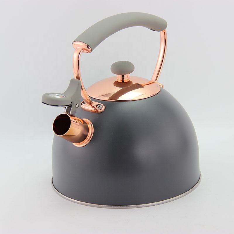 Home Heating Tea Kettle Hot Stainless Steel Whistling Kettles with Nylon Handle