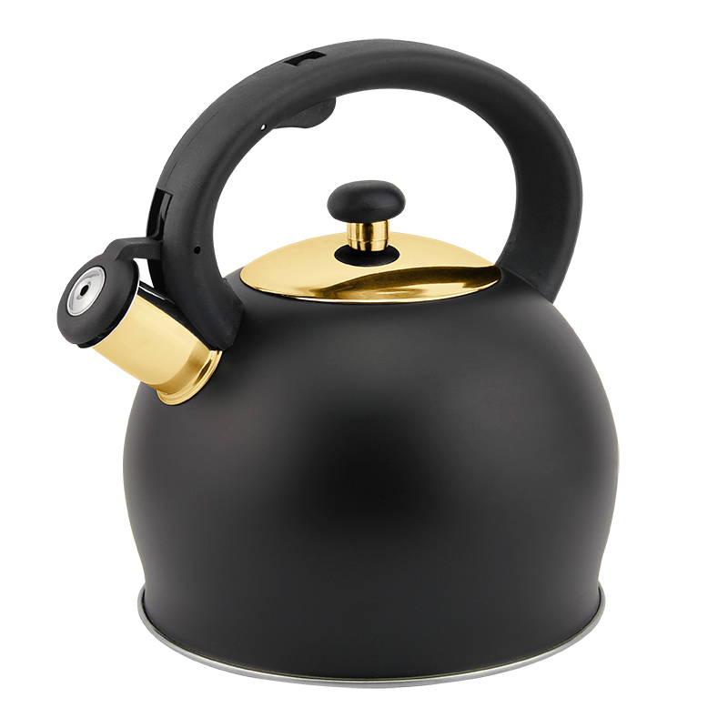 Hausroland Gold Thread Stainless Steel Stovetop Whistling Tea Kettle with Whistle