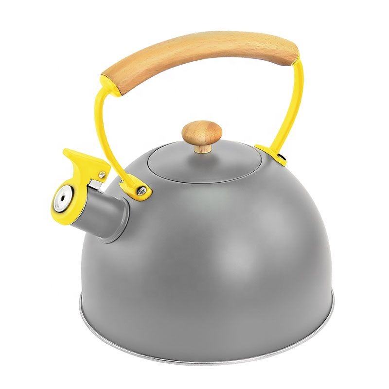 Home Heating Tea Kettle Hot Stainless Steel Whistling Kettles with Nylon Handle