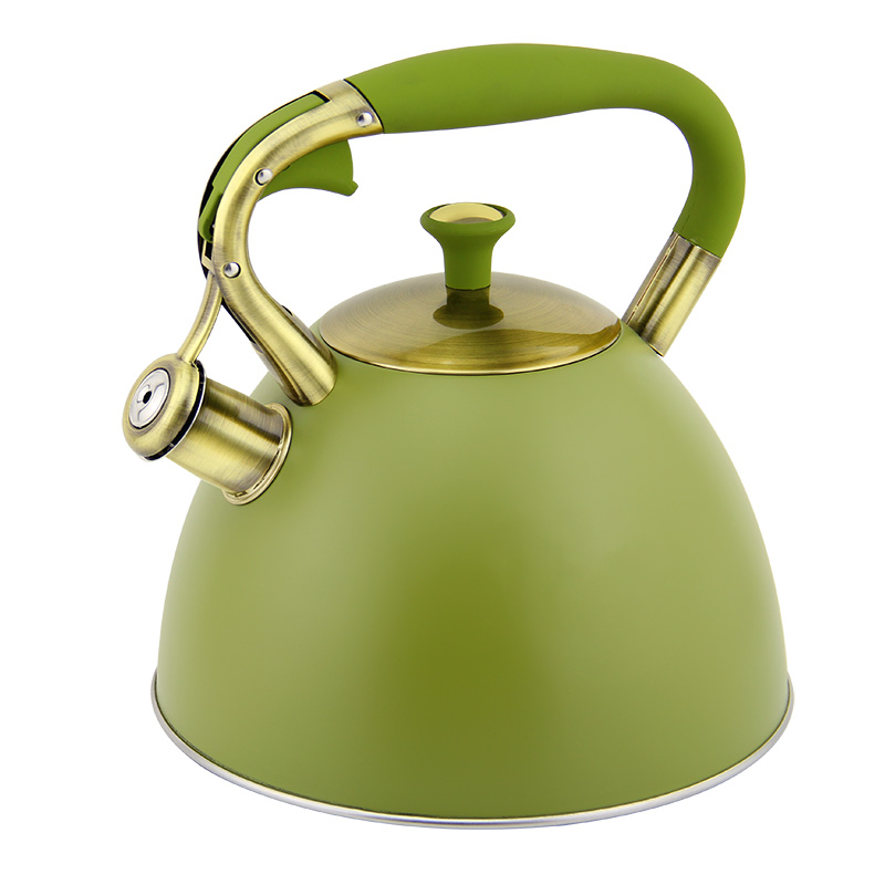 Hausroland Whistle Tea 3.0L Teapot Customized Color Stainless Steel Hot Large Water Kettle for All Stovetop