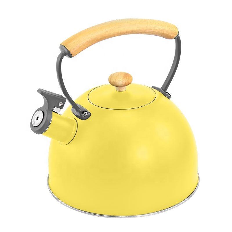 Home Heating Tea Kettle Hot Stainless Steel Whistling Kettles with Nylon Handle