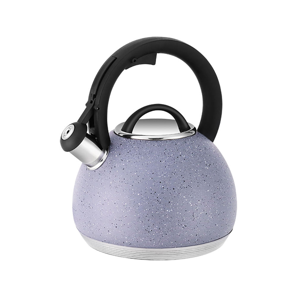 Customs Wholesales Tea Pots 3.0L Stainless Steel Whistling Kettle Hot Water Teapots for Restaurant Hotel Kitchen Stovetop