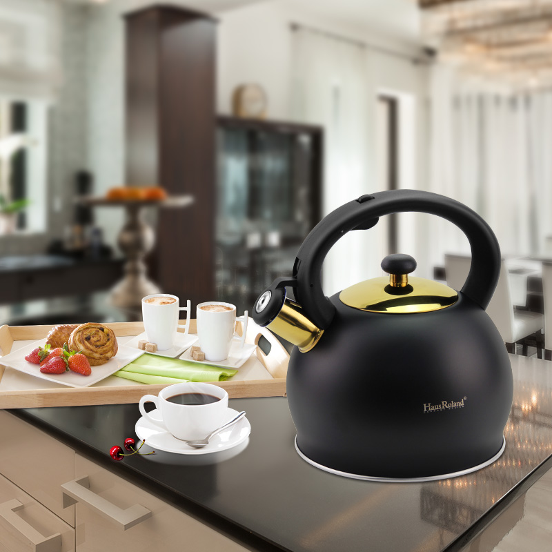 Goldensea Amazon Hot Sale Stainless Steel Whistling Kettle Stove Top Tea Pot With Color Coating.