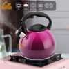 Goldensea Stainless Steel Whistling Water Tea Kettle Nylon Handle Stove Top Teapot With Gradient Color Coating.