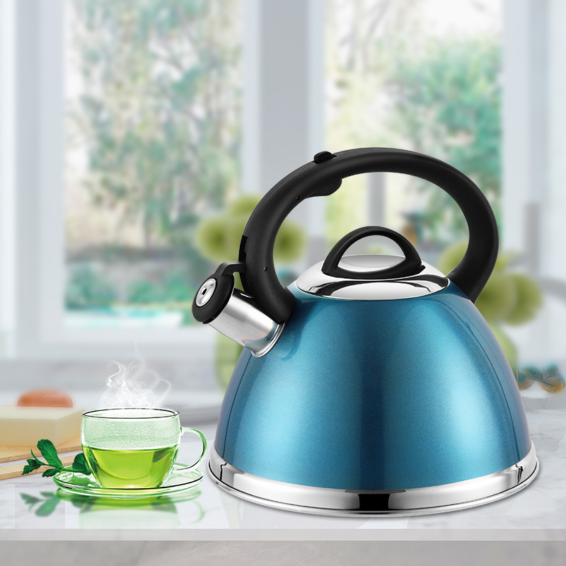 Goldensea Manufacturer New Design Sky-blue Color Coating Stainless Steel Whistling Kettle Stove Top Tea Pot With Nylon Handle