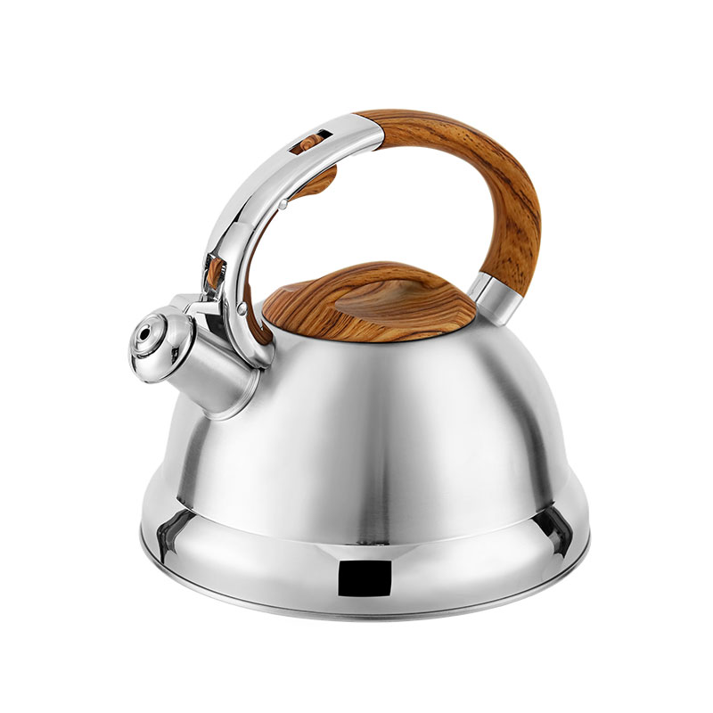 Goldensea Stainless Steel Whistling Water Tea Kettle Stovetop Teapot for Kitchen