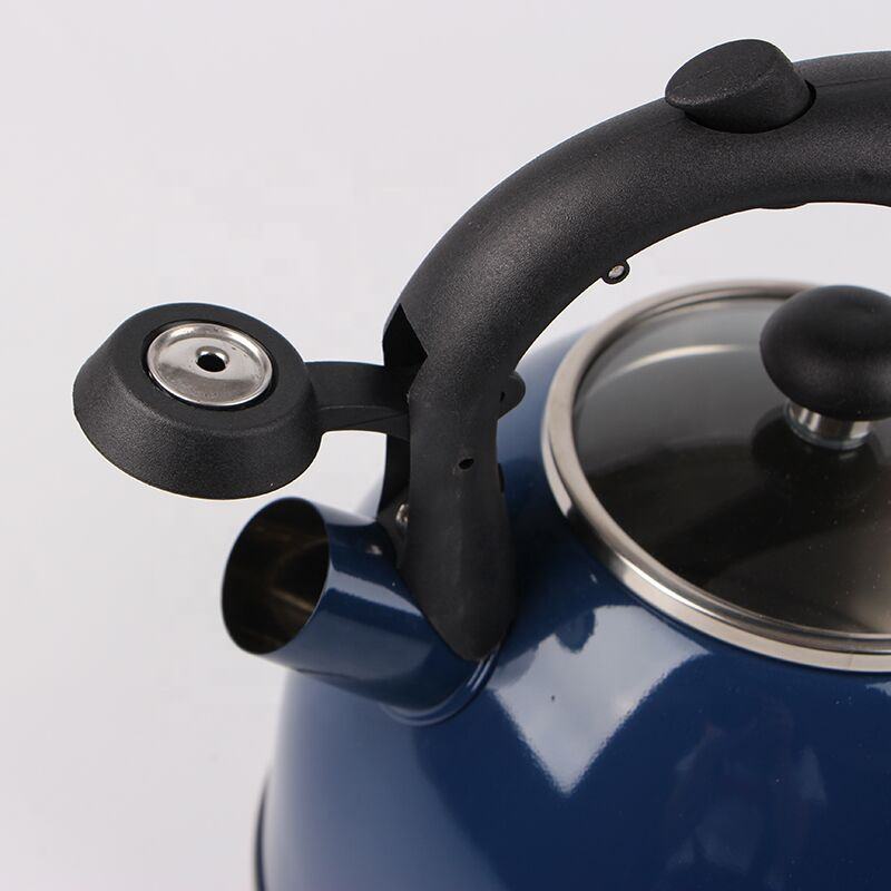 New Design 3L Color Coating Stainless Steel Stove Top Whistle Kettle Whistling Tea Pot with Glass Lid