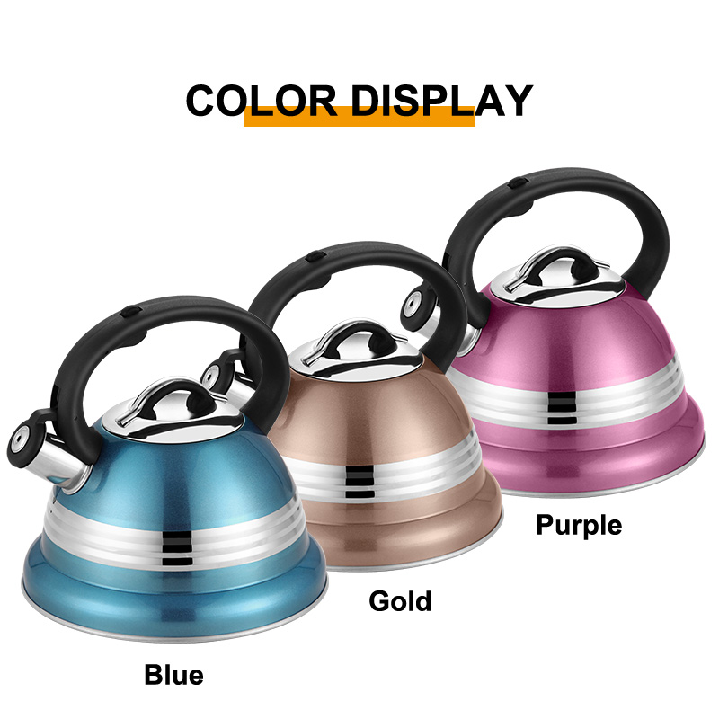 Goldensea Wholesaler Sky-Blue Color Coating Stainless Steel Whistling Water Tea Ketle Stove Top Teapot with Nylon Handle