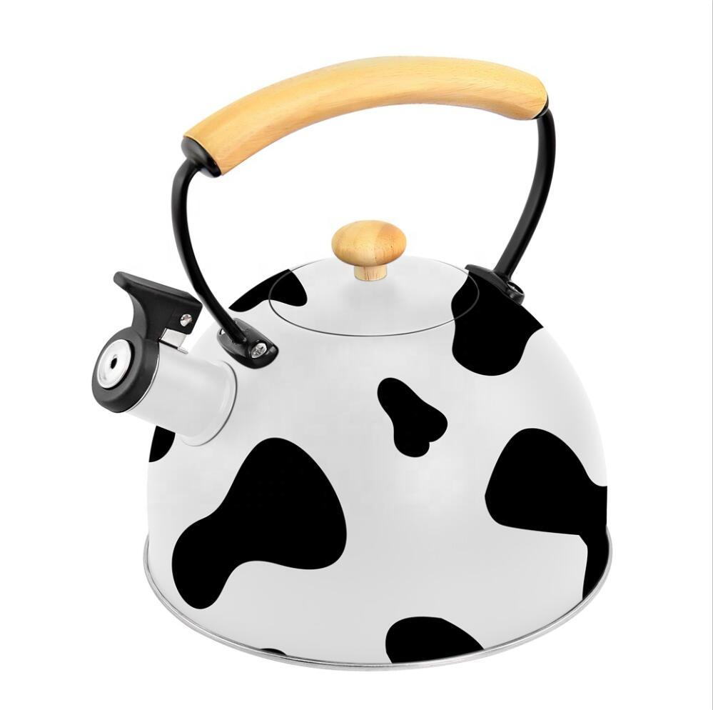 Home Heating Tea Kettle Hot Stainless Steel Whistling Kettles with Nylon Handle